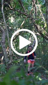 BIB:  <button type="button" onclick="openModal(28056397)" class="btn btn-primary btn-sm float-right" data-toggle="modal" data-target=".modal-high-quality">
                <i class="fa fa-download"></i> Download
                </button>